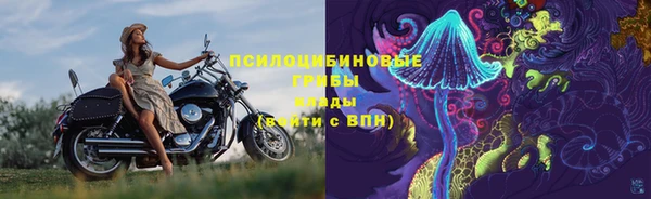 индика Абдулино