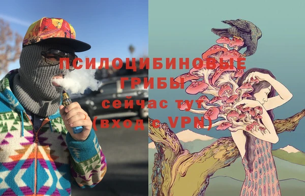 индика Абдулино