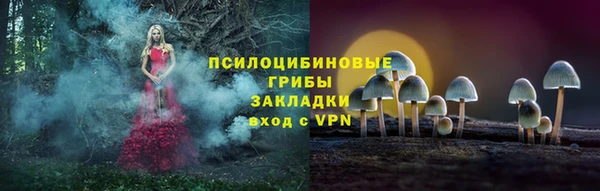 молекула духа Новодвинск