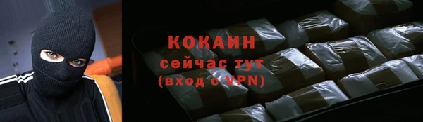 прущие грибы Абаза