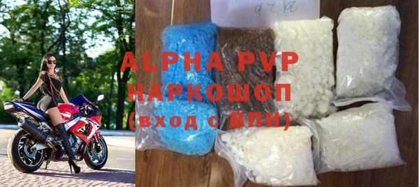 прущие грибы Абаза