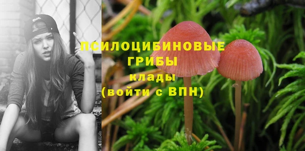 индика Абдулино