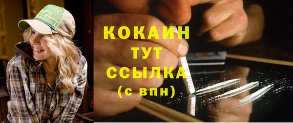 индика Абдулино